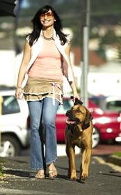 pet sitting, petsitter, dog walking, dogwalker, dog walker, pet sitter